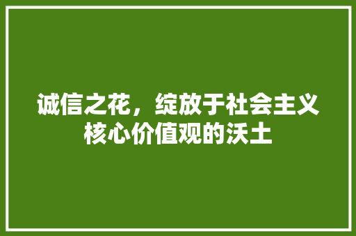 诚信之花，绽放于社会主义核心价值观的沃土