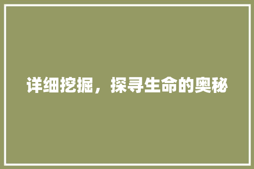 详细挖掘，探寻生命的奥秘