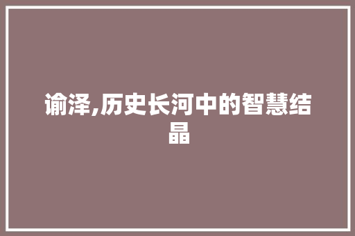 谕泽,历史长河中的智慧结晶