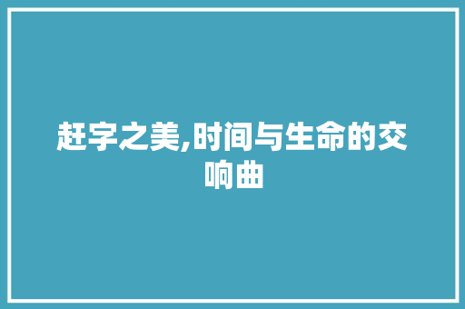 赶字之美,时间与生命的交响曲