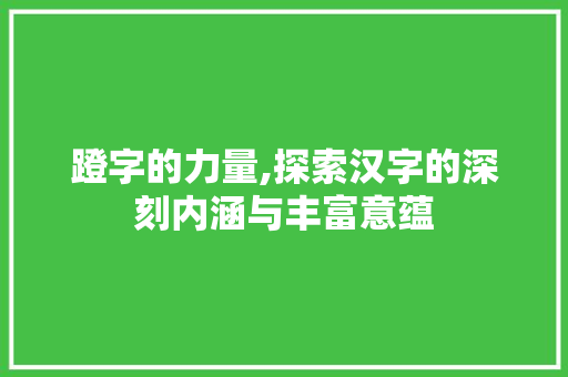 蹬字的力量,探索汉字的深刻内涵与丰富意蕴