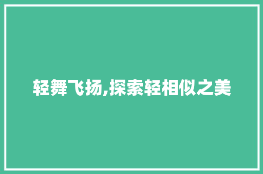 轻舞飞扬,探索轻相似之美