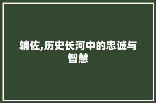 辅佐,历史长河中的忠诚与智慧 工作计划
