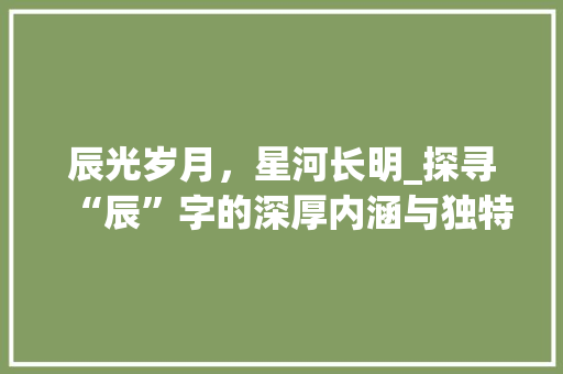 辰光岁月，星河长明_探寻“辰”字的深厚内涵与独特魅力 合同范本