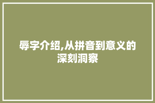 辱字介绍,从拼音到意义的深刻洞察