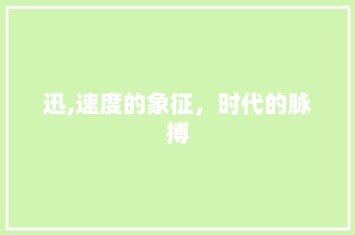 迅,速度的象征，时代的脉搏