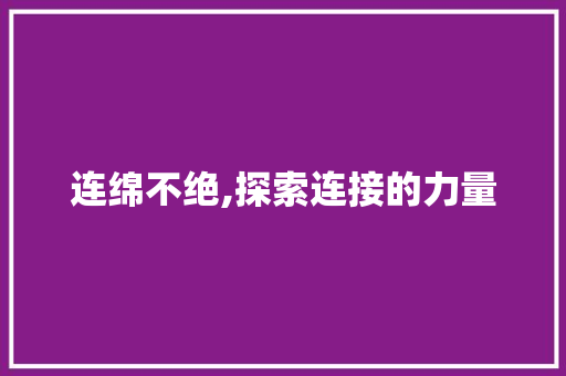 连绵不绝,探索连接的力量 工作总结