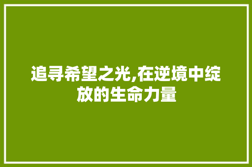 追寻希望之光,在逆境中绽放的生命力量