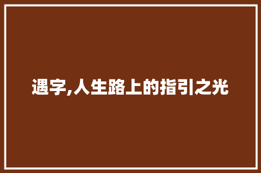 遇字,人生路上的指引之光