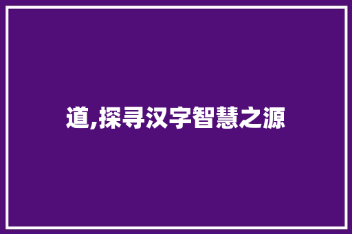 道,探寻汉字智慧之源 国学经典