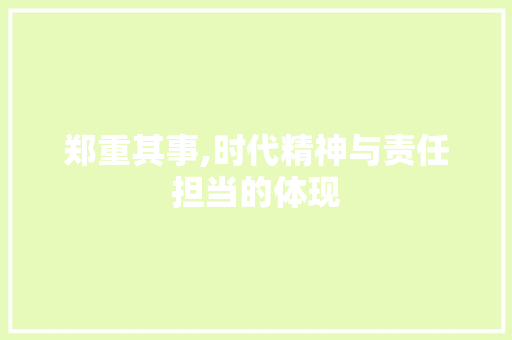 郑重其事,时代精神与责任担当的体现 个人简历