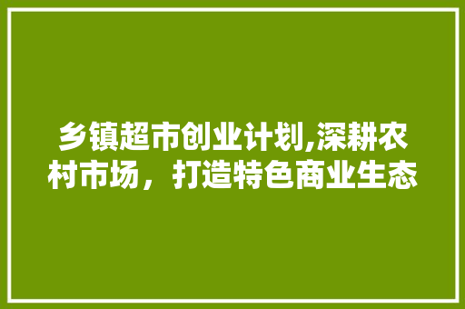 乡镇超市创业计划,深耕农村市场，打造特色商业生态
