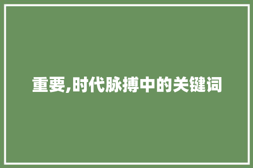 重要,时代脉搏中的关键词