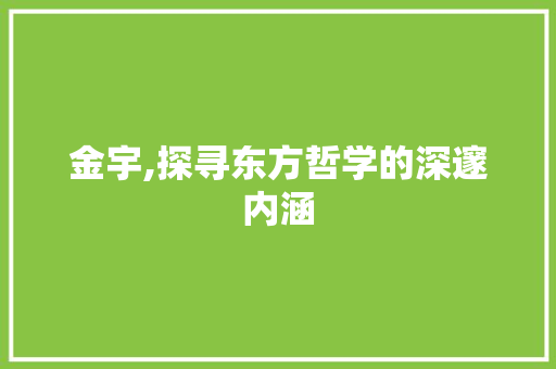 金宇,探寻东方哲学的深邃内涵