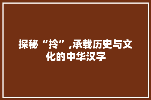 探秘“拎”,承载历史与文化的中华汉字 工作总结