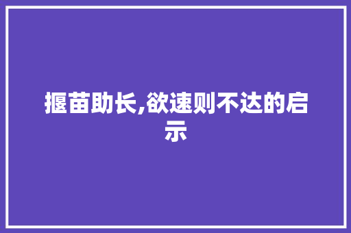 揠苗助长,欲速则不达的启示