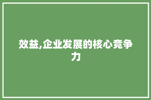 效益,企业发展的核心竞争力