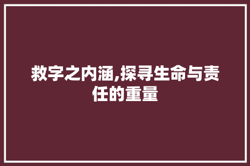 救字之内涵,探寻生命与责任的重量