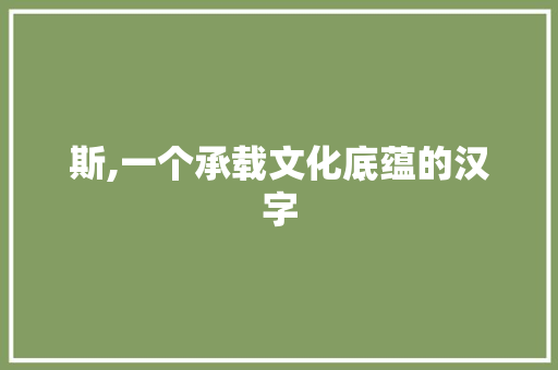 斯,一个承载文化底蕴的汉字