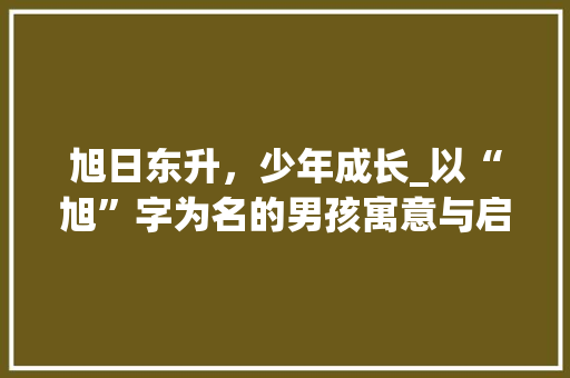 旭日东升，少年成长_以“旭”字为名的男孩寓意与启示