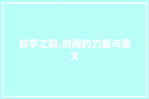时字之韵,时间的力量与意义