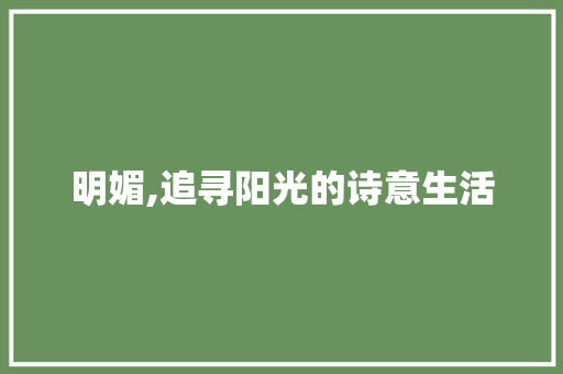 明媚,追寻阳光的诗意生活 合同范本