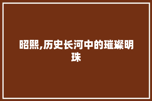 昭熙,历史长河中的璀璨明珠