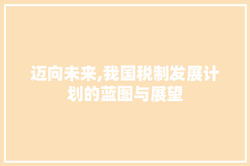 迈向未来,我国税制发展计划的蓝图与展望