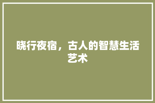 晓行夜宿，古人的智慧生活艺术