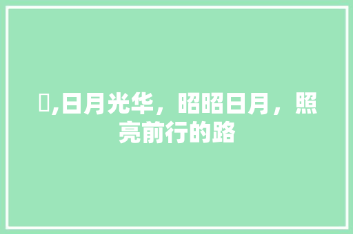 曌,日月光华，昭昭日月，照亮前行的路