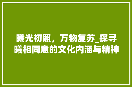 曦光初照，万物复苏_探寻曦相同意的文化内涵与精神价值