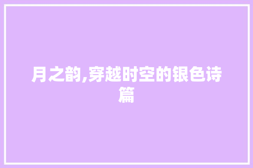 月之韵,穿越时空的银色诗篇