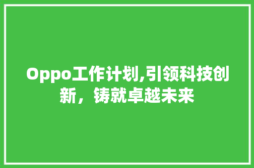 Oppo工作计划,引领科技创新，铸就卓越未来