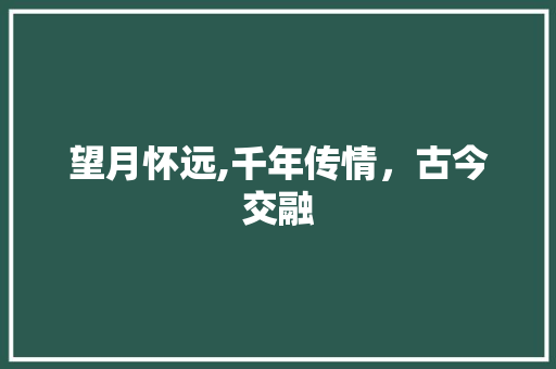 望月怀远,千年传情，古今交融
