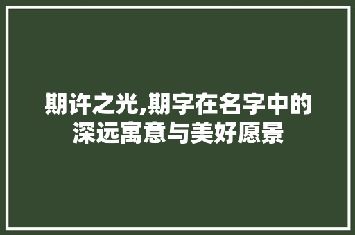 期许之光,期字在名字中的深远寓意与美好愿景