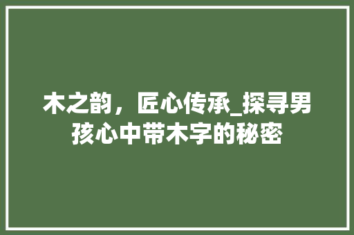 木之韵，匠心传承_探寻男孩心中带木字的秘密