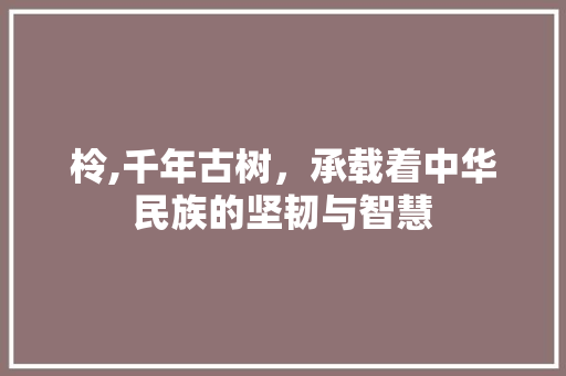 柃,千年古树，承载着中华民族的坚韧与智慧