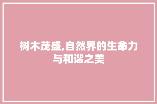 树木茂盛,自然界的生命力与和谐之美