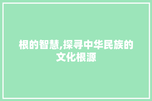 根的智慧,探寻中华民族的文化根源