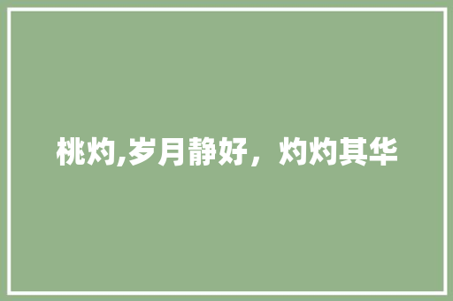 桃灼,岁月静好，灼灼其华