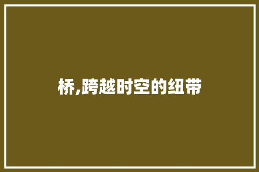 桥,跨越时空的纽带 工作计划
