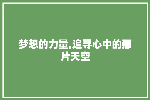 梦想的力量,追寻心中的那片天空