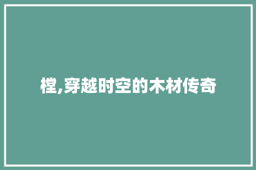 樘,穿越时空的木材传奇
