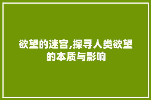 欲望的迷宫,探寻人类欲望的本质与影响