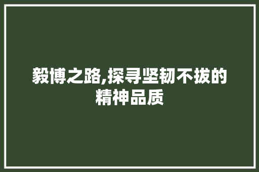 毅博之路,探寻坚韧不拔的精神品质