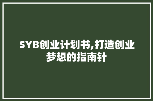 SYB创业计划书,打造创业梦想的指南针