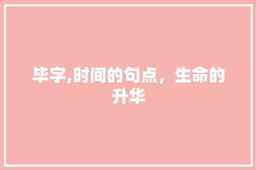 毕字,时间的句点，生命的升华
