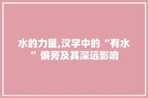 水的力量,汉字中的“有水”偏旁及其深远影响 工作总结