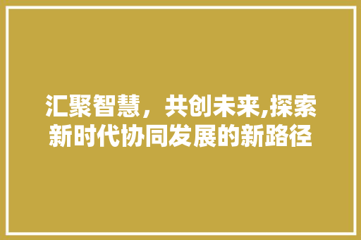 汇聚智慧，共创未来,探索新时代协同发展的新路径