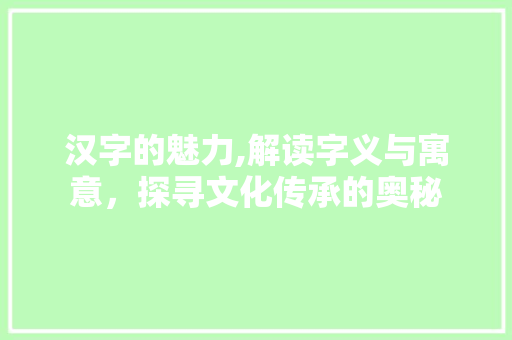 汉字的魅力,解读字义与寓意，探寻文化传承的奥秘